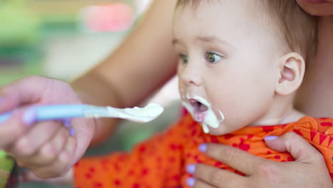beautiful child is being fed from spoon. little toddler eating dairy food opening mouth widely. close up. blurred backdrop.