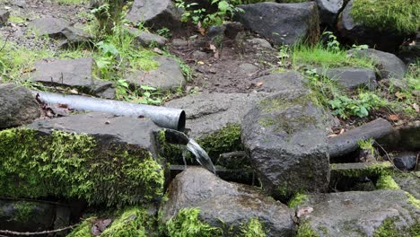 agua corriente en un bosque en noruega 2