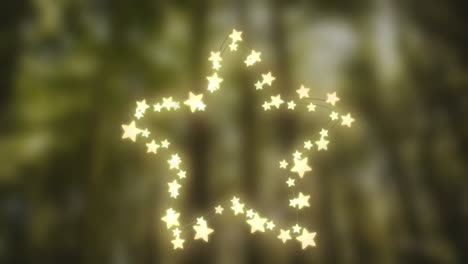 glowing star of fairy lights on defocused background