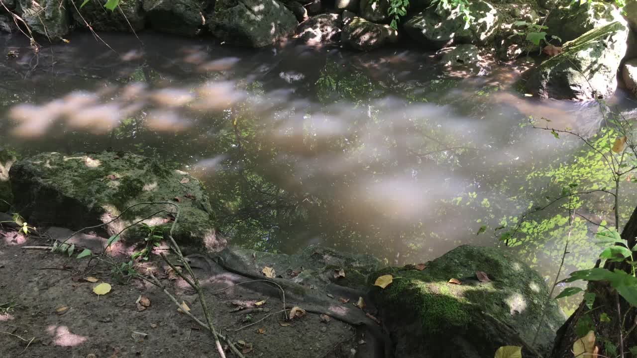 호수에 햇빛의 수영장