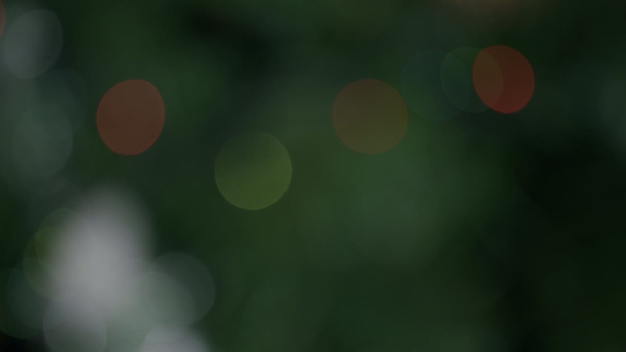 전구 보케 효과: 크리스마스 장식, 박이는 및 재 초점