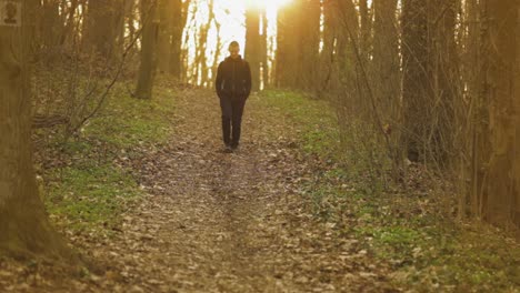 man walking alone in the forest trail on an early morning in jelenia gora, poland - tilt-up revealing shot
