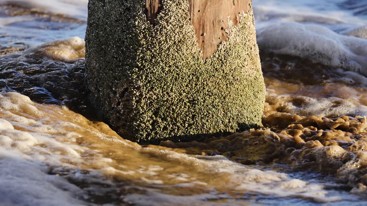 Wooden Post in the Tide
