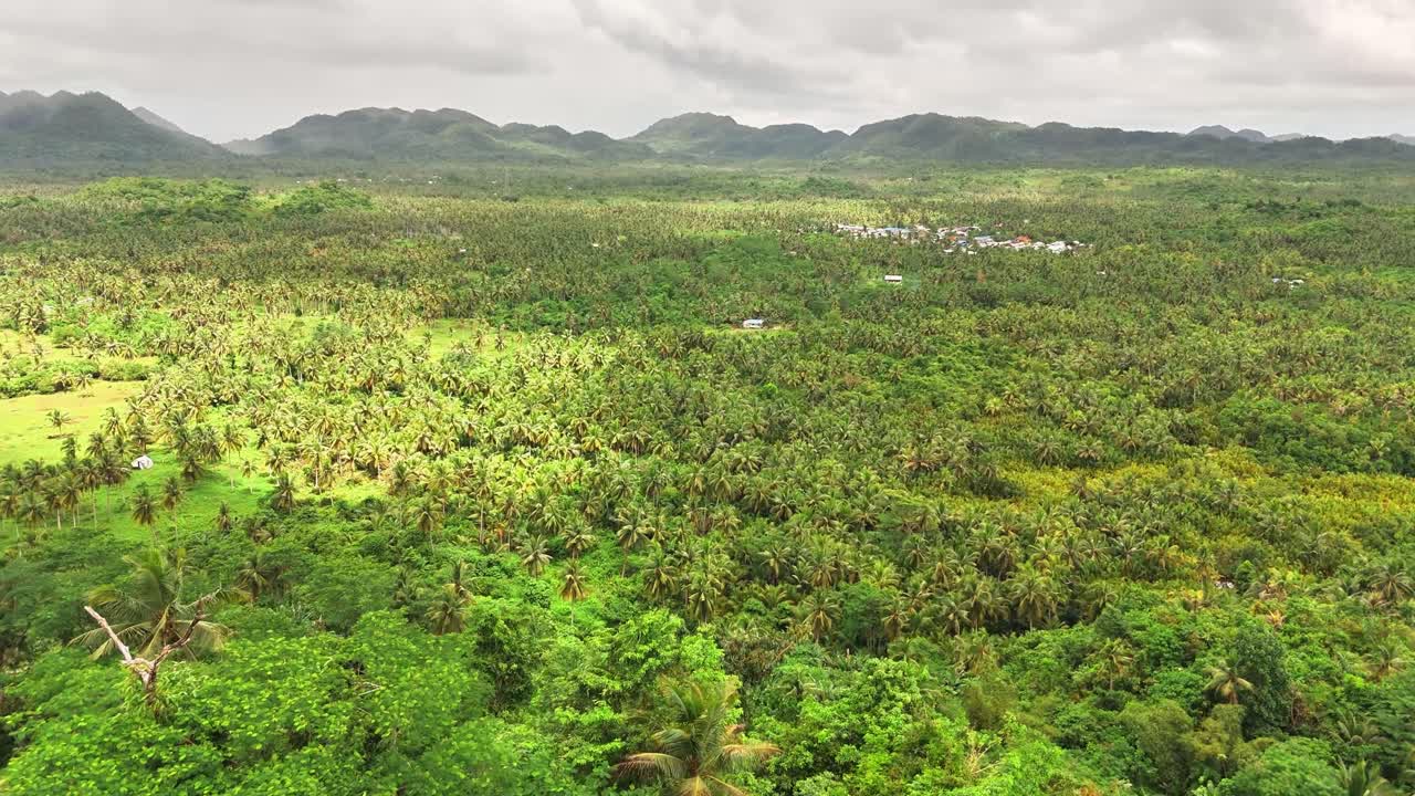 Aerial shot over a vast coconut plantation in Siargao, Philippines, with rich green canopy, scattered palms, distant mountains and a few rural houses dotting the landscape