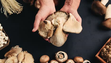 variety of mushrooms in hands
