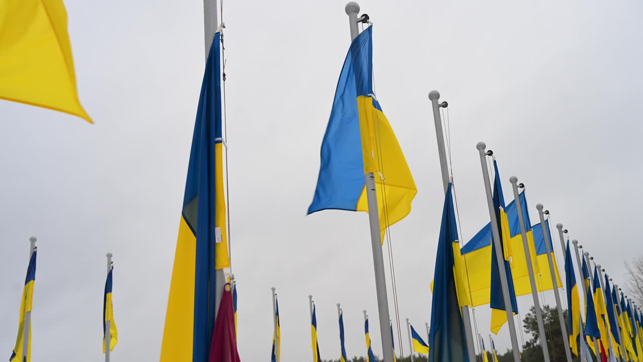 A solemn upward view of Ukrainian flags fluttering over soldiers' graves at Irpin Cemetery, Ukraine, on a winter day, honoring lives lost in the Ukraine-Russia war.