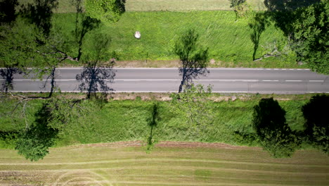 aerial drone, views the shadows of trees, between farmsland