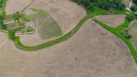 agriculture fields. rural landscape aerial view