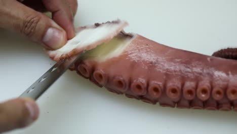 a chief cut a octopus for dinner, close up shot, insert shot