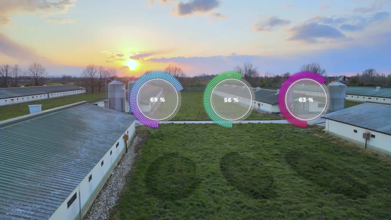 Smart farming on Chicken poultry farm with infographic. 3D render