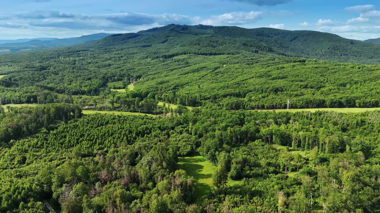Daytime green landscape in Europe. Expansive forested area in Europe showcases vibrant greenery under a clear blue sky, ideal for outdoor activities
