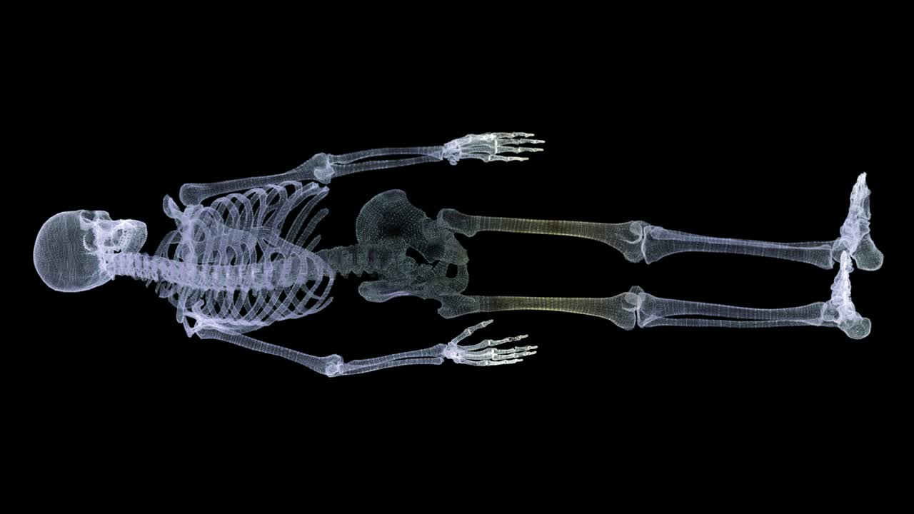 futurista de rayos x holográficos que escanean partes del cuerpo humano