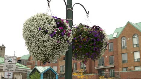 Hängende-Blumenkörbe-Wehen-An-Einem-Bewölkten-Tag-Im-Wind