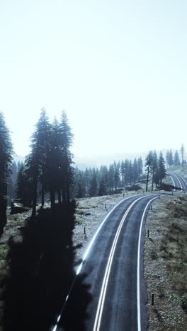 mountain road through a foggy forest