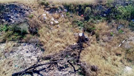 Aerial-drone-footage-of-waste-land-dry-and-dusty,-with-dead-grass,-rocks,-gravel-and-a-tree