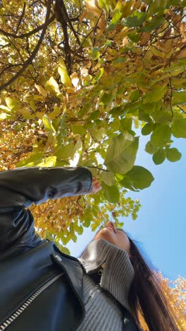 woman underneath fall trees