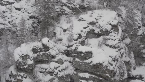 snowy mountain rocks and trees
