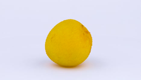 one whole big yellow plum with water drops. rotating on the turntable. isolated on the white background. close-up. macro.