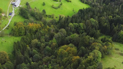 Mountain-houses-surrounded-by-unspoilt-green-forest,-Sele-Sajda,-Austria