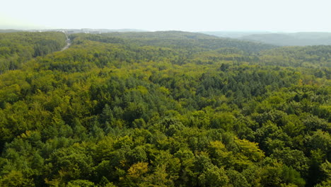 Drone-Volando-Hacia-Atrás-Sobre-El-Hermoso-Bosque-Verde-De-Witomino,-Polonia