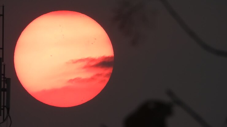 Beautiful sunset - close up sun . leaf