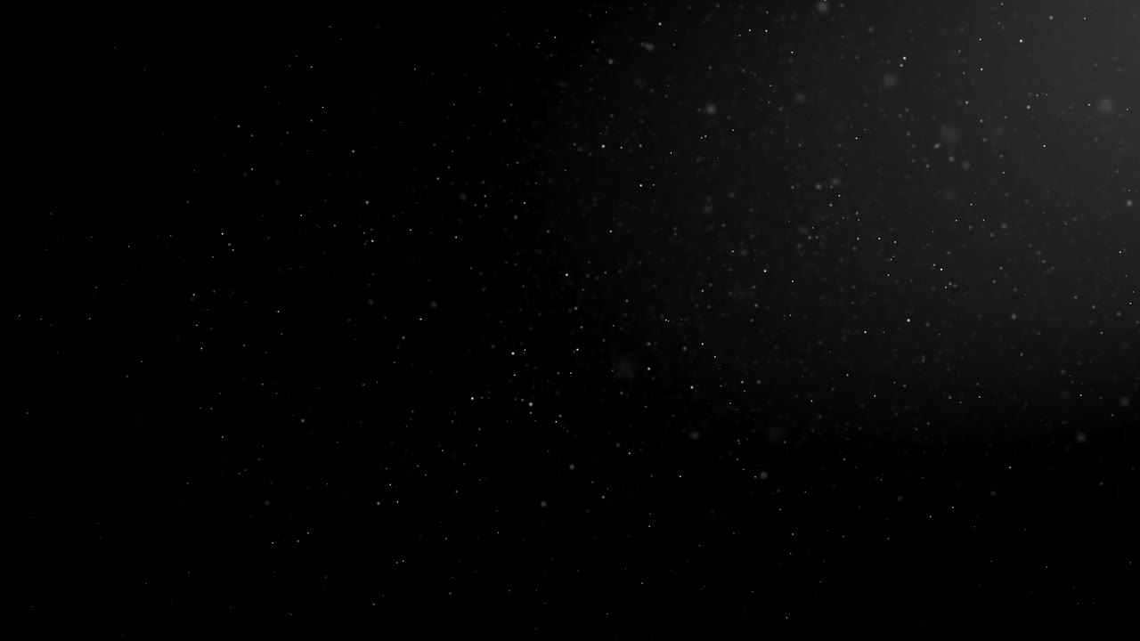 검은색 배경에서 유기 먼지의 날아다니는 입자