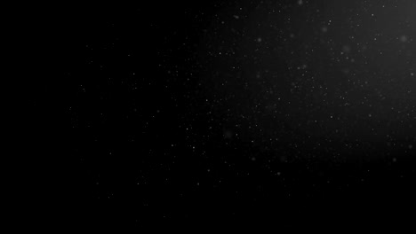 flying particles of organic dust on a black background