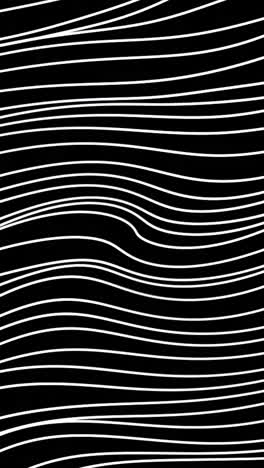 abstract black and white wave pattern