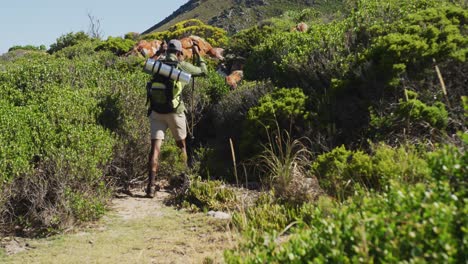 African-american-man-hiking-with-hiking-poles-in-mountain-countryside