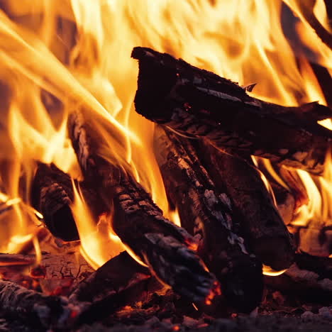 burning fire. bonfire. closeup of flames burning on black background, slow motion