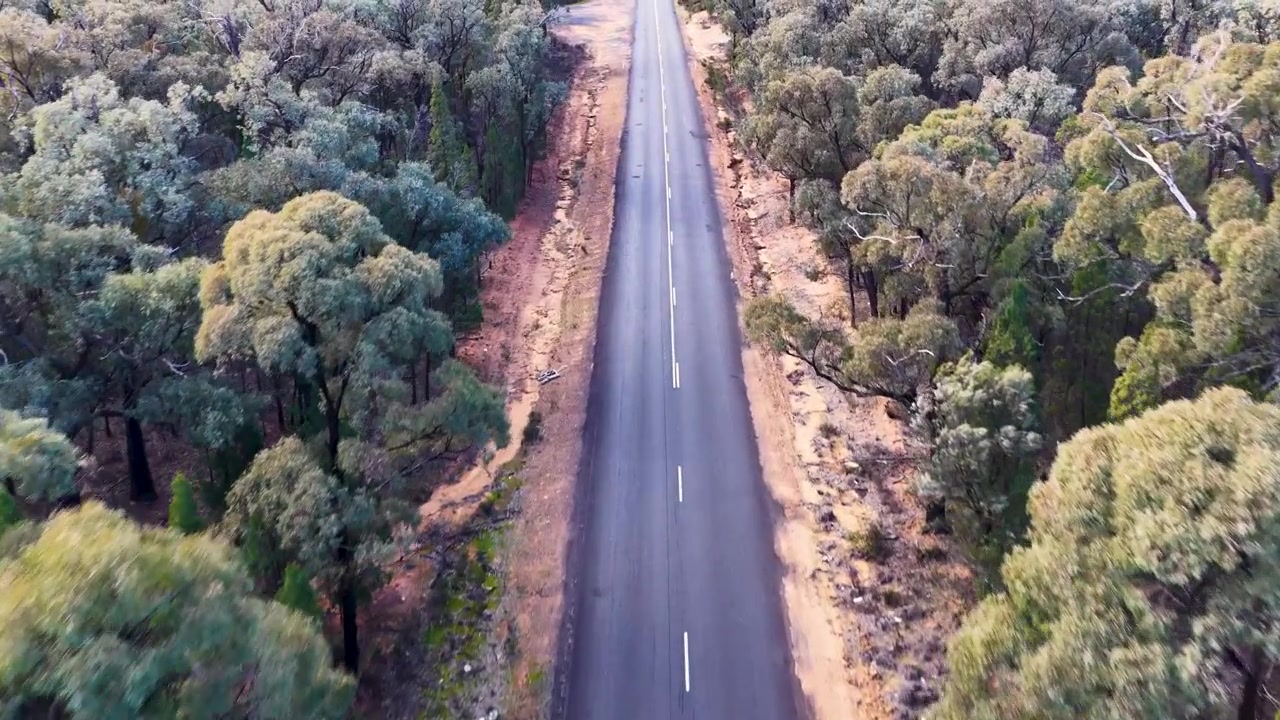 Droneoptagelse fra høj vinkel, der flyver over en øde landevej gennem tæt buskads i Goonoo Skoven, Australien