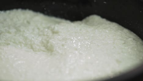 proceso de producción de queso y cuajada