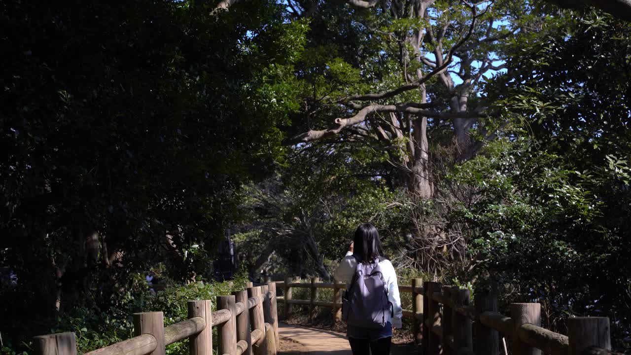 parte posterior de una mujer caminando por un hermoso sendero en la naturaleza