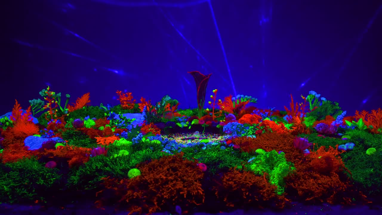 flores vibrantes en un telón de fondo azul con luces giratorias, encarnan la expresión artística y la decoración festiva