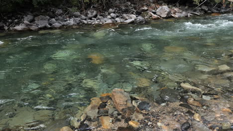 Kristallklares-Wasser,-Das-über-Den-Felsigen-Flussboden-Fließt