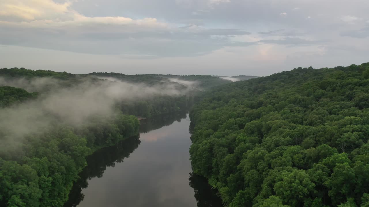 Forest river and rising mist in early summer morning, aerial drone view