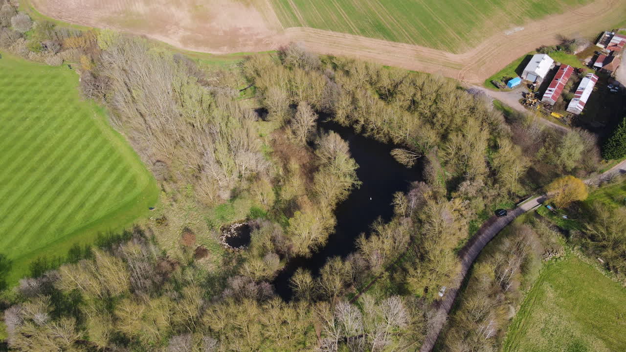 un pequeño lago está rodeado de árboles escarpados en el verde campo rural inglés en un día soleado