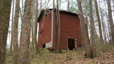 old abandoned tobacco barn in the woods