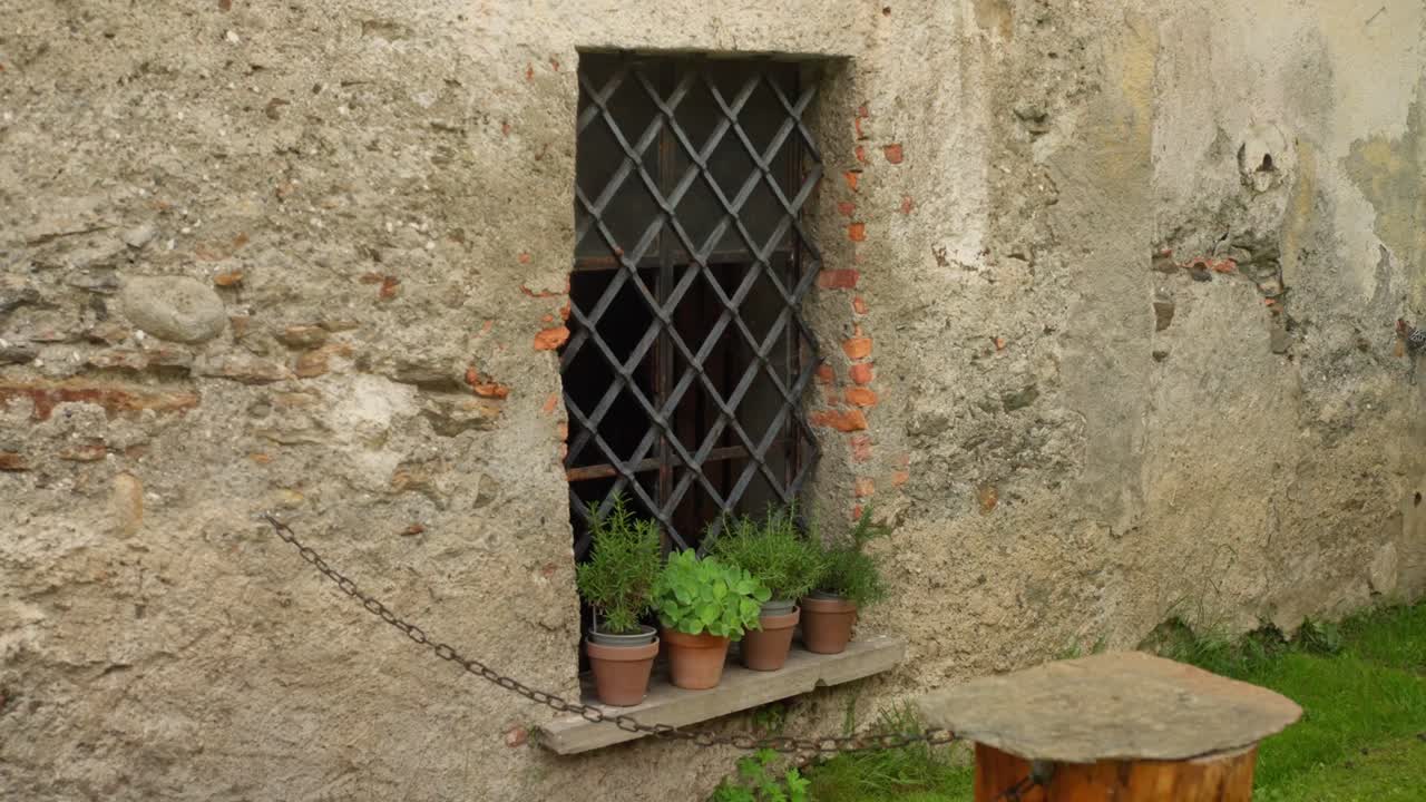 Dettaglio di un muro in pietra rustico con finestra con inferriate in ferro ed erbe in vaso sul davanzale a Tirano. Autentica architettura rurale italiana caratterizzata da rosmarino e vasi in terracotta.