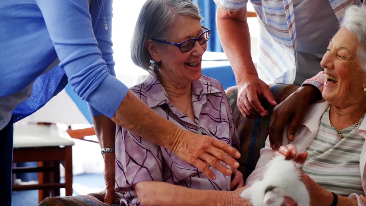 Amigos idosos e médica acariciando gatinho em lar de idosos 4k