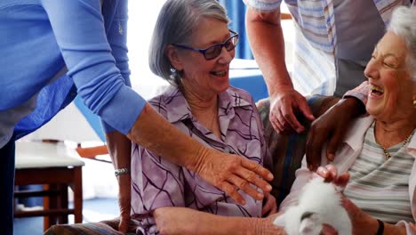 Senior-friends-and-female-doctor-stroking-kitten-at-retirement-home-4k