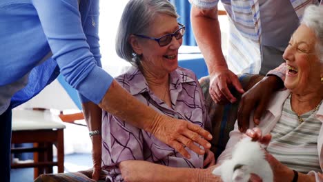 amigos mayores y una doctora acariciando a un gatito en un hogar de ancianos 4k