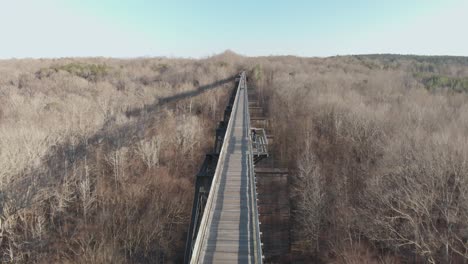 Flying just overhead along the wooden High Bridge Trail, a reconstructed Civil War railroad bridge in Virginia, as people stroll along the bridge