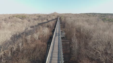 flying just overhead along the wooden high bridge trail, a reconstructed civil war railroad bridge in virginia, as people stroll along the bridge