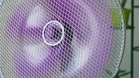 oscillating home appliance electric fan rotating purple plastic blades circulating air in room close up