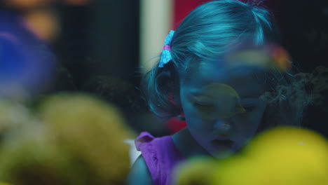 little-girl-looking-at-fish-in-aquarium-curious-child-watching-colorful-sea-life-swimming-in-tank-learning-about-marine-animals-in-underwater-ecosystem-inquisitive-kid-at-oceanarium