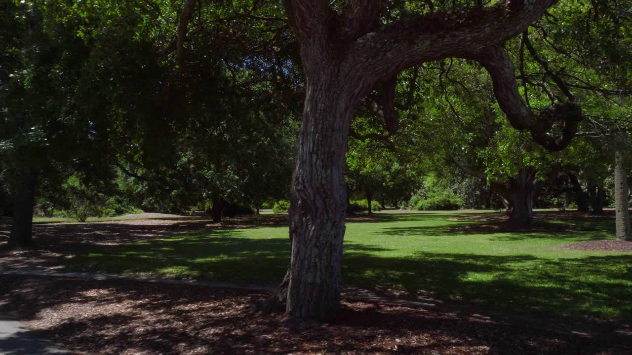 Hampton Park shown from the entry walking path
