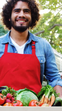 jardinero llevando una caja de verduras frescas