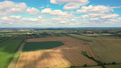 Luftaufnahme-Mit-Der-Landschaftsgeometriestruktur-Vieler-Landwirtschaftlicher-Felder-Mit-Verschiedenen-Pflanzen-Wie-Raps-In-Der-Blütezeit-Und-Grünem-Weizen