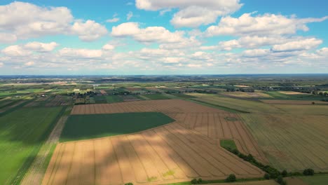 luftaufnahme mit der geometrie der landschaft und der textur vieler landwirtschaftlicher felder mit verschiedenen pflanzen wie raps in der blütezeit und grünem weizen